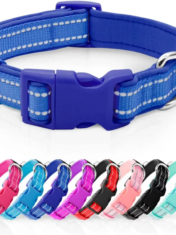 dog collars aussiedoodle