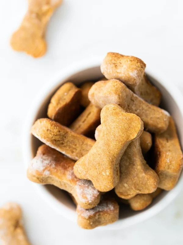 dog treats aussiedoodle